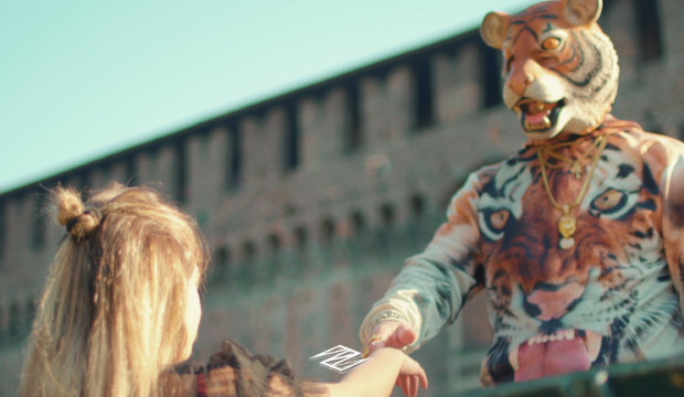 tiger dek trapper