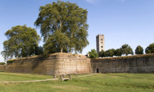 Mura di lucca in primavera