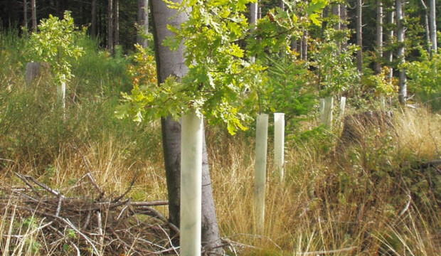ventex-shot-cropped